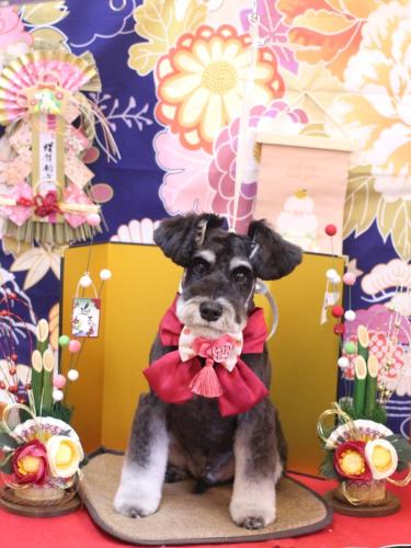 20240106ジジくん